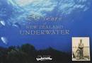 Fifty Years of New Zealand Underwater