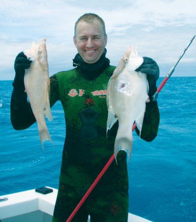 Spearfishing_hogfish.jpg