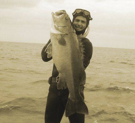 Spearfishing_Hapuku.jpg