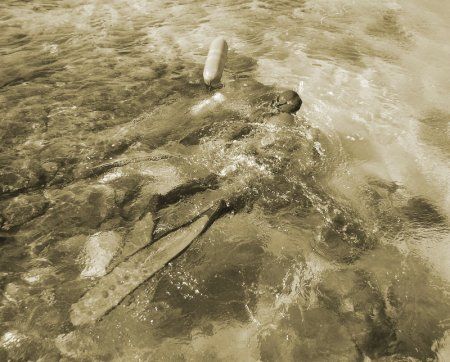 spearfishing_nz_hapuka.jpg