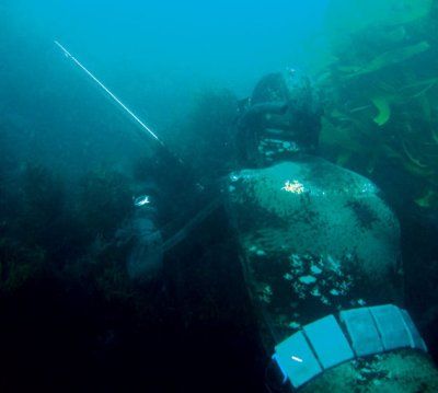 Hawkes_bay_spearfishing.jpg
