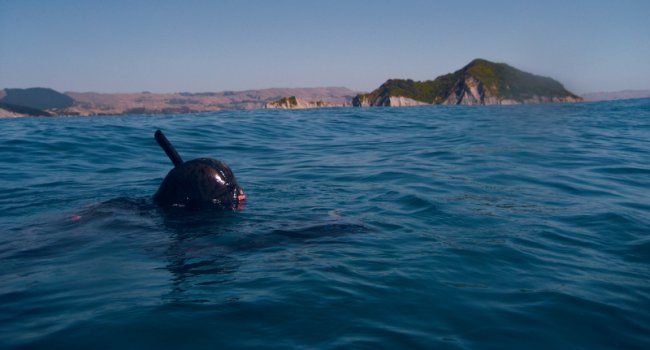 Spearfishing_in_Napier.jpg