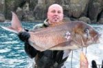Spearfishing_large_snapper_1.JPG