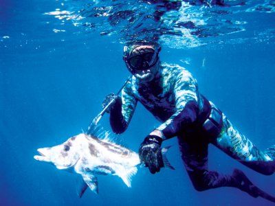 Spearfishing_giant_boarfish1.jpg
