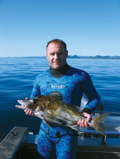 spearfishing_giant_boarfish3.jpg