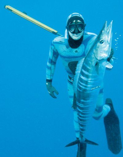 Blue_water_hunting.jpg