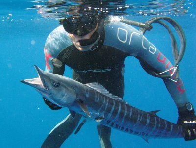 Spearfishing_Wahoo.jpg