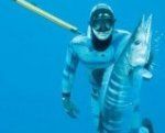 Spearfishing_wahoo_11.jpg