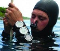 freediving2.jpg
