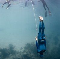 freediving_6.jpg