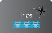 trips 1