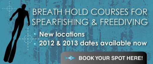 breath hold course web banner new