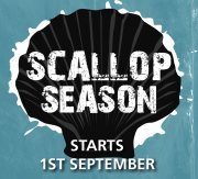 scallop_season.jpg