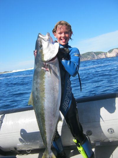 Sam_Whiddett_Kingfish1.JPG