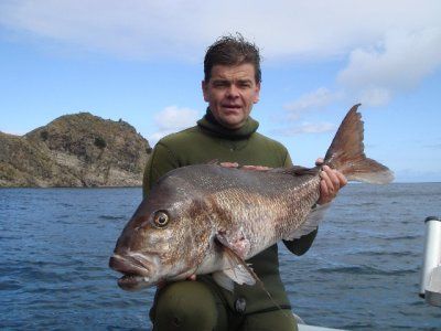 Spearfishing_snapper.jpg