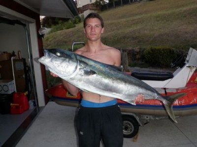 nz_kingfish.jpg