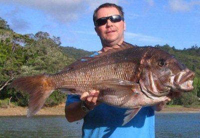 spearfishing_snapper.jpg