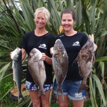 spearfishing_interpacifi_2011.JPG
