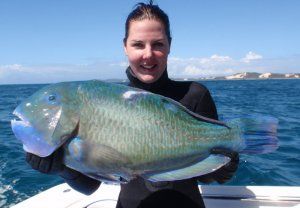 Black_Spot_Tusk_Fish_Jessica_Whiddett_1.JPG