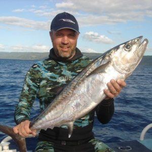 Spearfishing_Dogtooth_tuna.jpg
