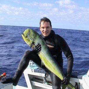 Spearfishing_Mahi_Mahi.JPG