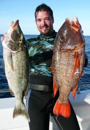 Tropical_Spearfishing.JPG