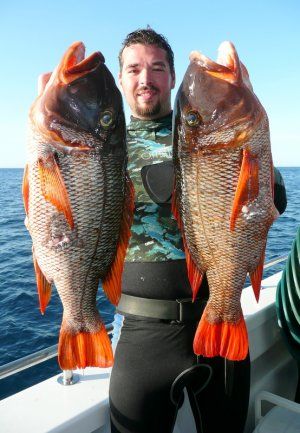 spearfishing_in_the_tropics.JPG
