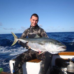 KINGFISH.jpg