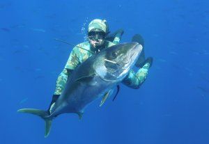 NZ_kingfish_.JPG