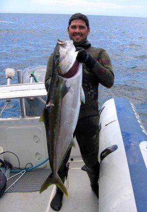 Shaun_barnett_spearfisging_kingfish.jpg