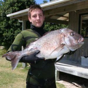 Spearfishing_big_snapper.JPG