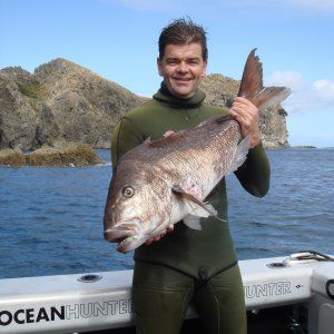 snapper_3.jpg