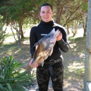 Giant_Boar_Fish.JPG