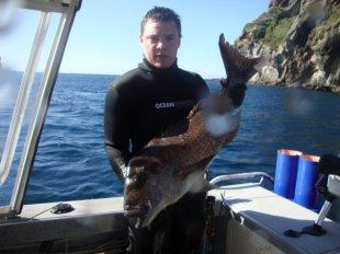 big_snapper.jpg