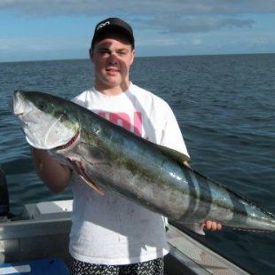 spearfishing_kingfish.JPG