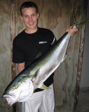 Spearfishing_kingfish_tom.JPG