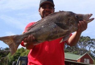 spearfishing_boarfish_.JPG
