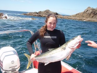 spearfishing_knigfish_in_new_zealand.JPG