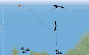 spearfishing_boarfish_1.jpg