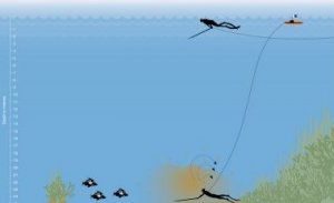 spearfishing_giant_boarfish.jpg