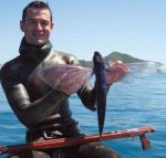 FLYING_FISH_1.jpg