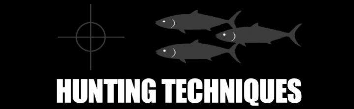 hunting_1.jpg