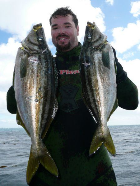 spearfishing_trumpter.JPG