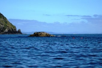 OCEAN__DIVERSITY_4_1.JPG