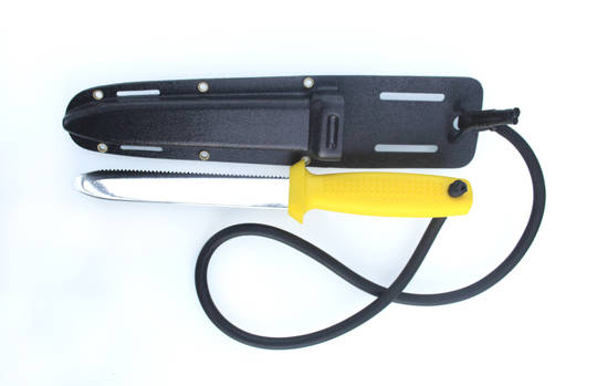 Paua Knife