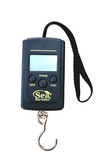 Scales Weighs up to 40kg