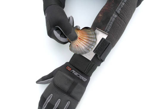 Wrist Scallop Measure
