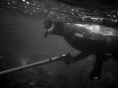 Spearfishing Articles Jet Kings2