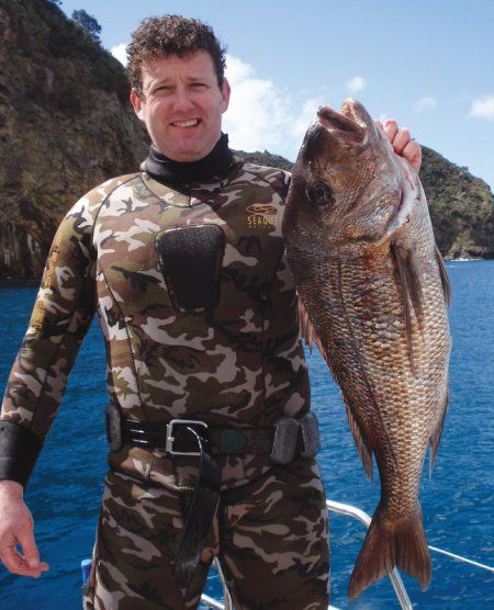 spearfishing snapper1