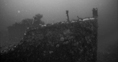 wreck_spearfishing.jpg